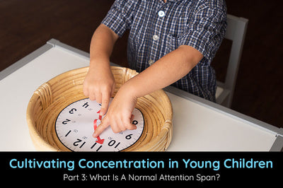 Cultivating Concentration In Young Children | Part 3