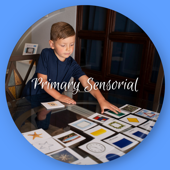 Montessori Primary Sensorial Curriculum (Ages 3-6)