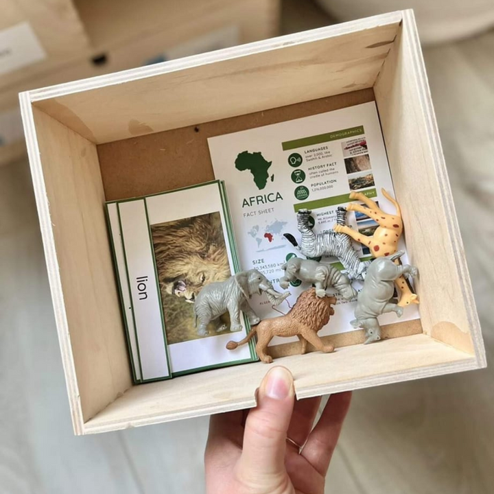 Montessori Primary Geography (Culture) Curriculum (Ages 3-6)