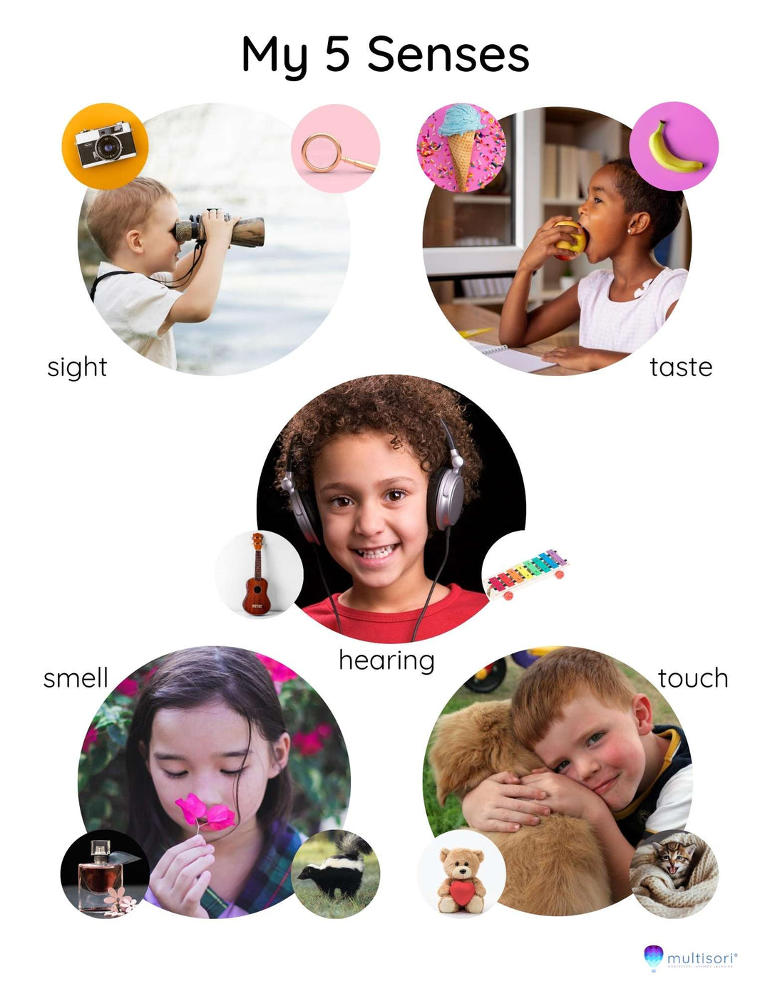 My 5 senses poster