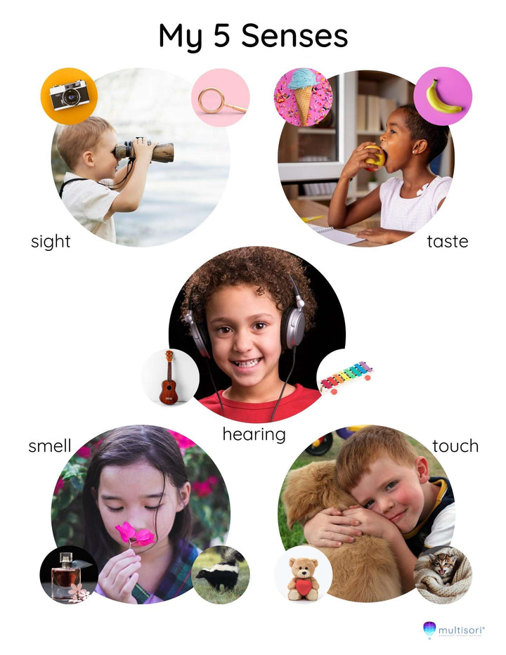My 5 senses poster
