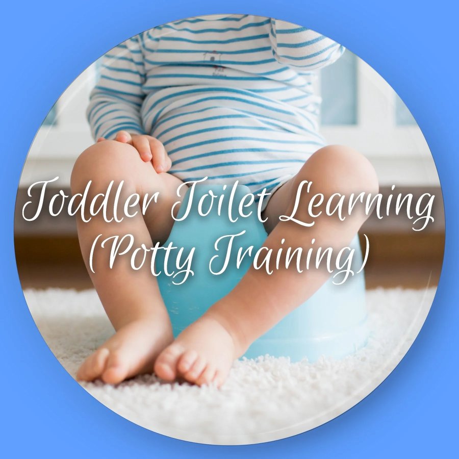 Diapering & Toilet Learning
