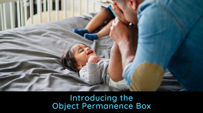 Introducing The Object Permanence Box