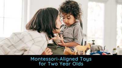 Montessori Toys for Two Year Olds
