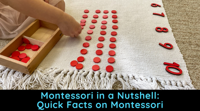 Montessori in a Nutshell: Quick Facts on Montessori