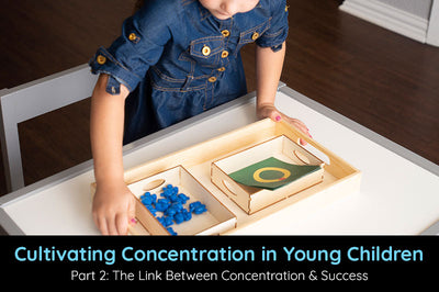 Cultivating Concentration in Young Children | Part 2