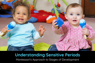 Understanding Sensitive Periods: Montessori's Approach to Stages of Development