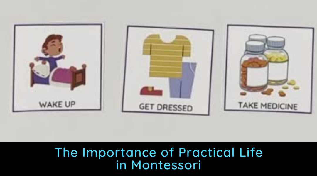 The Importance of Practical Life
