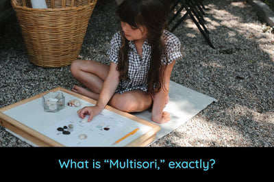 What is "Multisori," exactly?