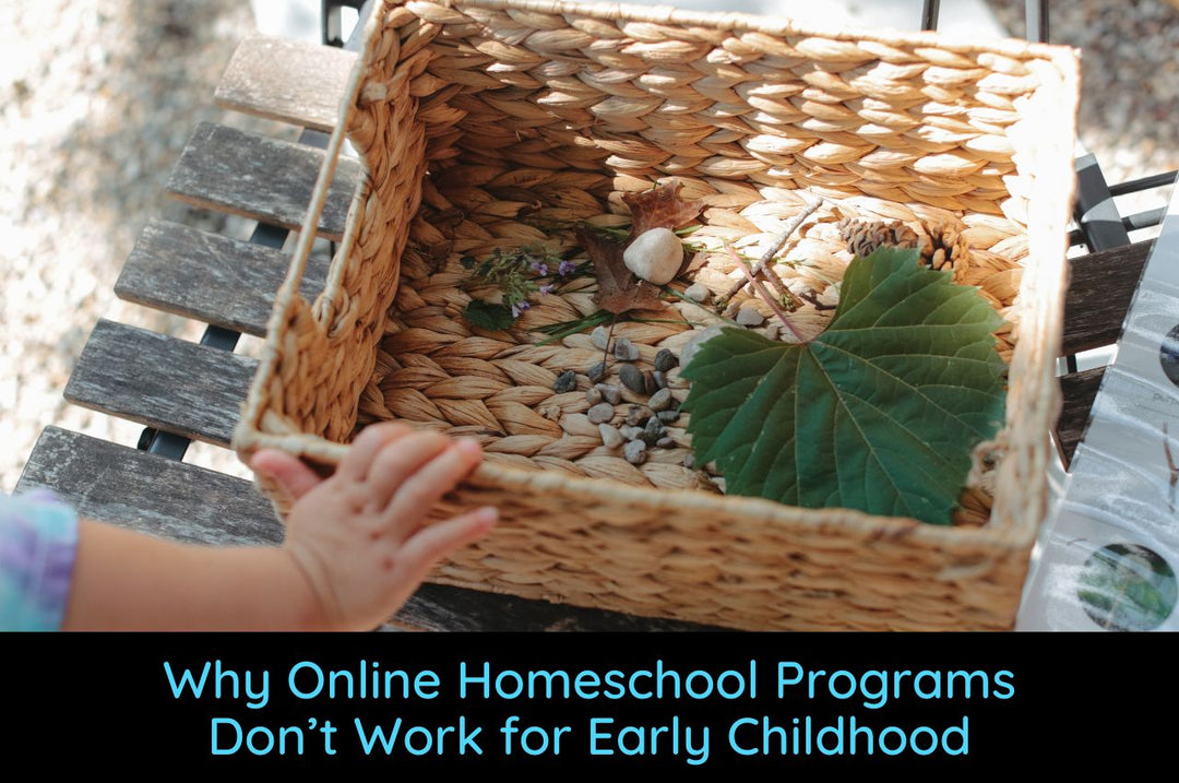 Why Online Homeschool Programs Don’t Work for Early Childhood