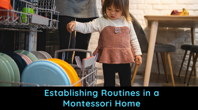 Establishing Routines in a Montessori Home