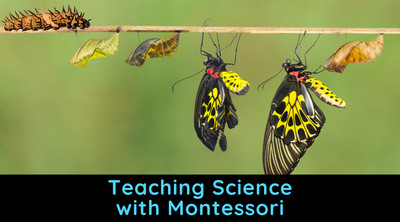 Teaching Science with Montessori