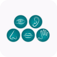 Refines all five senses