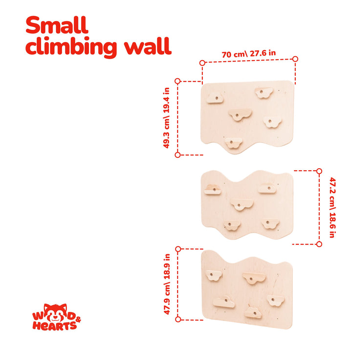 Home Climbing Wall