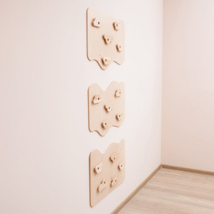 Home Climbing Wall