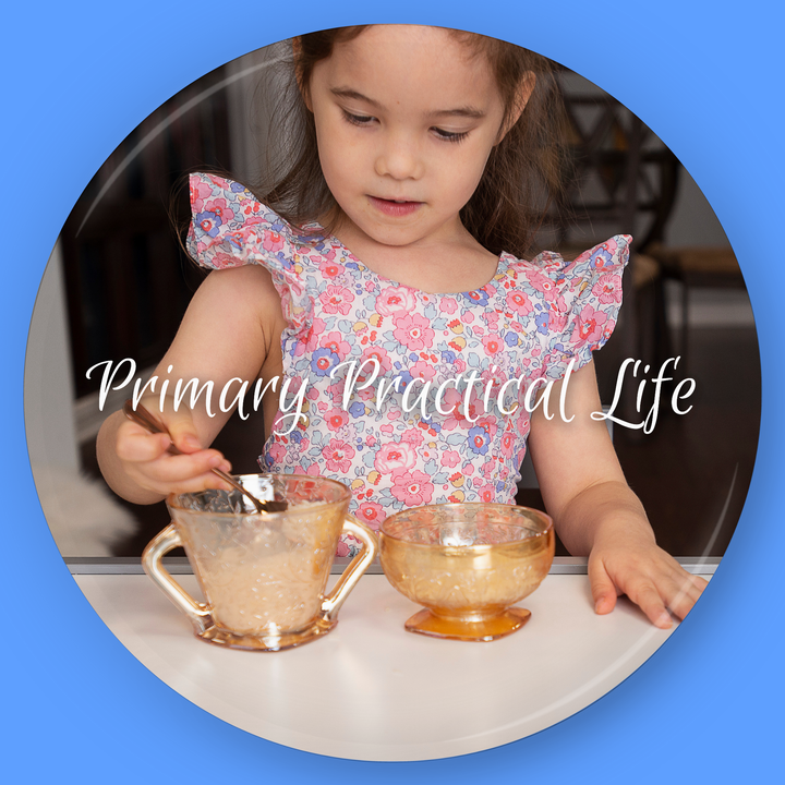 DIGITAL Montessori Primary Practical Life Curriculum