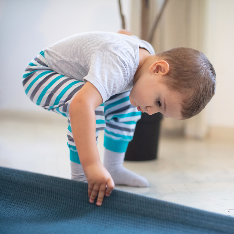 Montessori Toddler Language Arts Curriculum