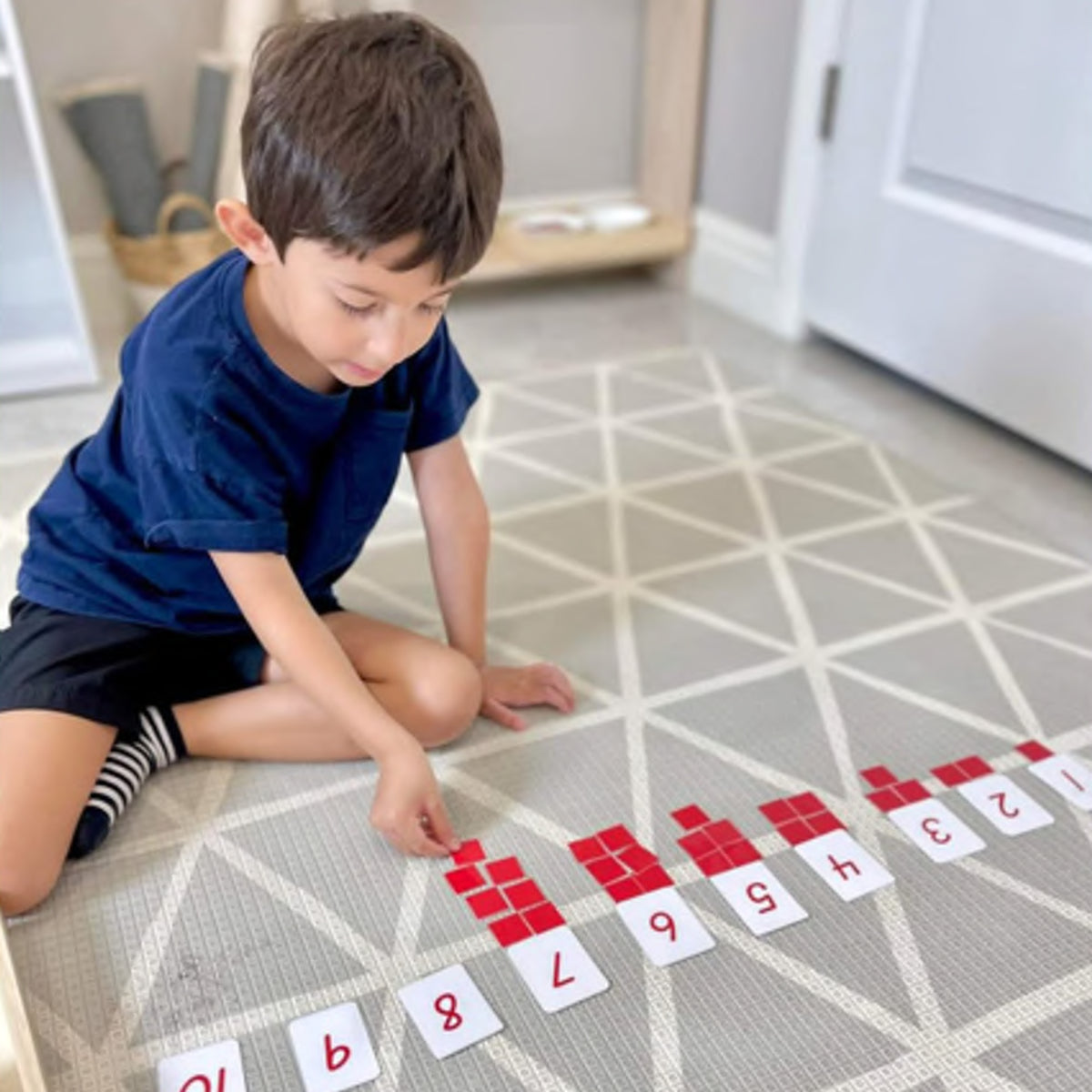 Montessori Primary Mathematics Curriculum (Ages 2.5-6.5)