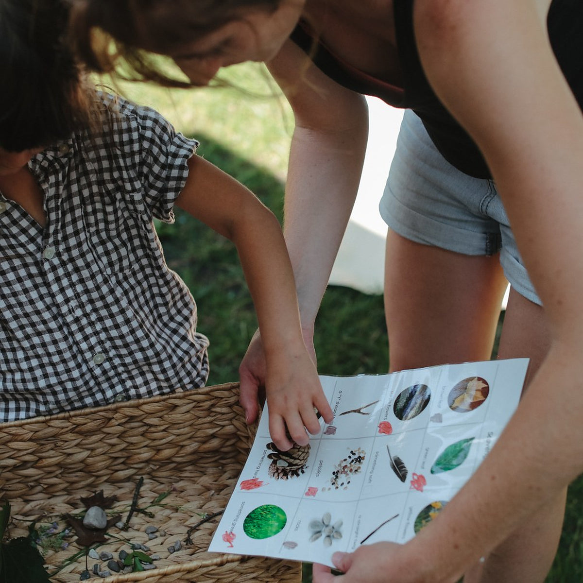 Montessori Primary Science Curriculum (Ages 3-6)