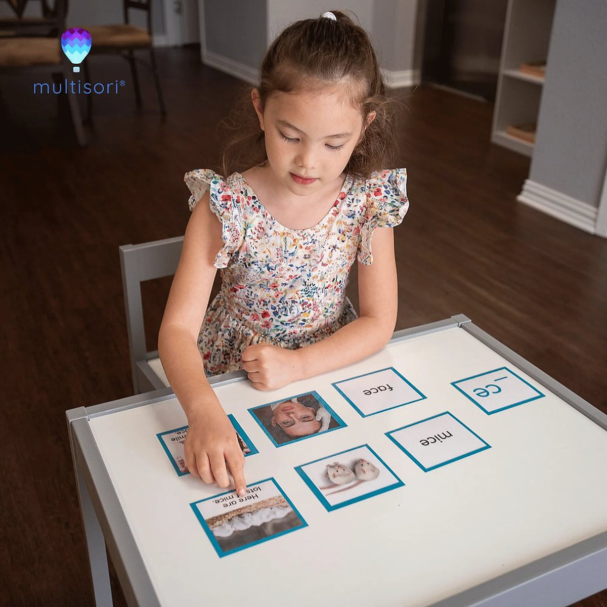 Montessori Primary Language Arts Curriculum (Ages 3-9)