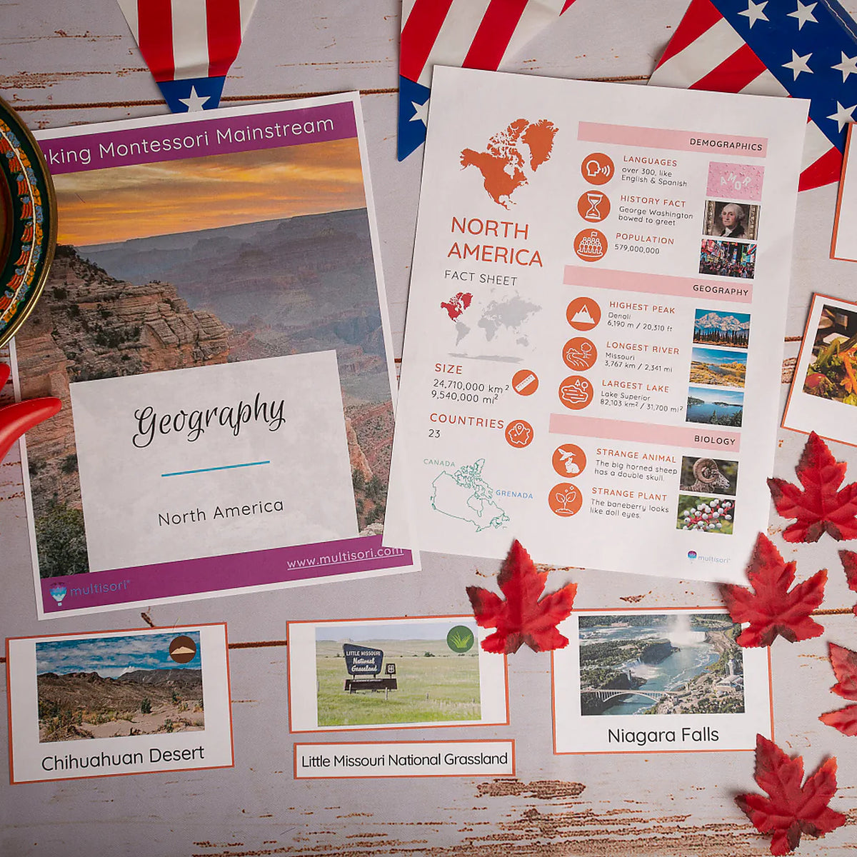 Montessori Primary Geography (Culture) Curriculum (Ages 3-6)