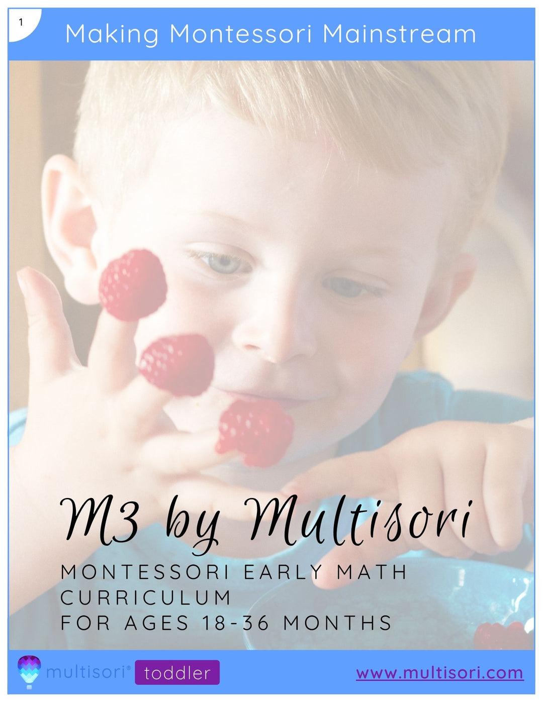 Montessori Toddler Early Math Curriculum (Ages 18-36 Months)