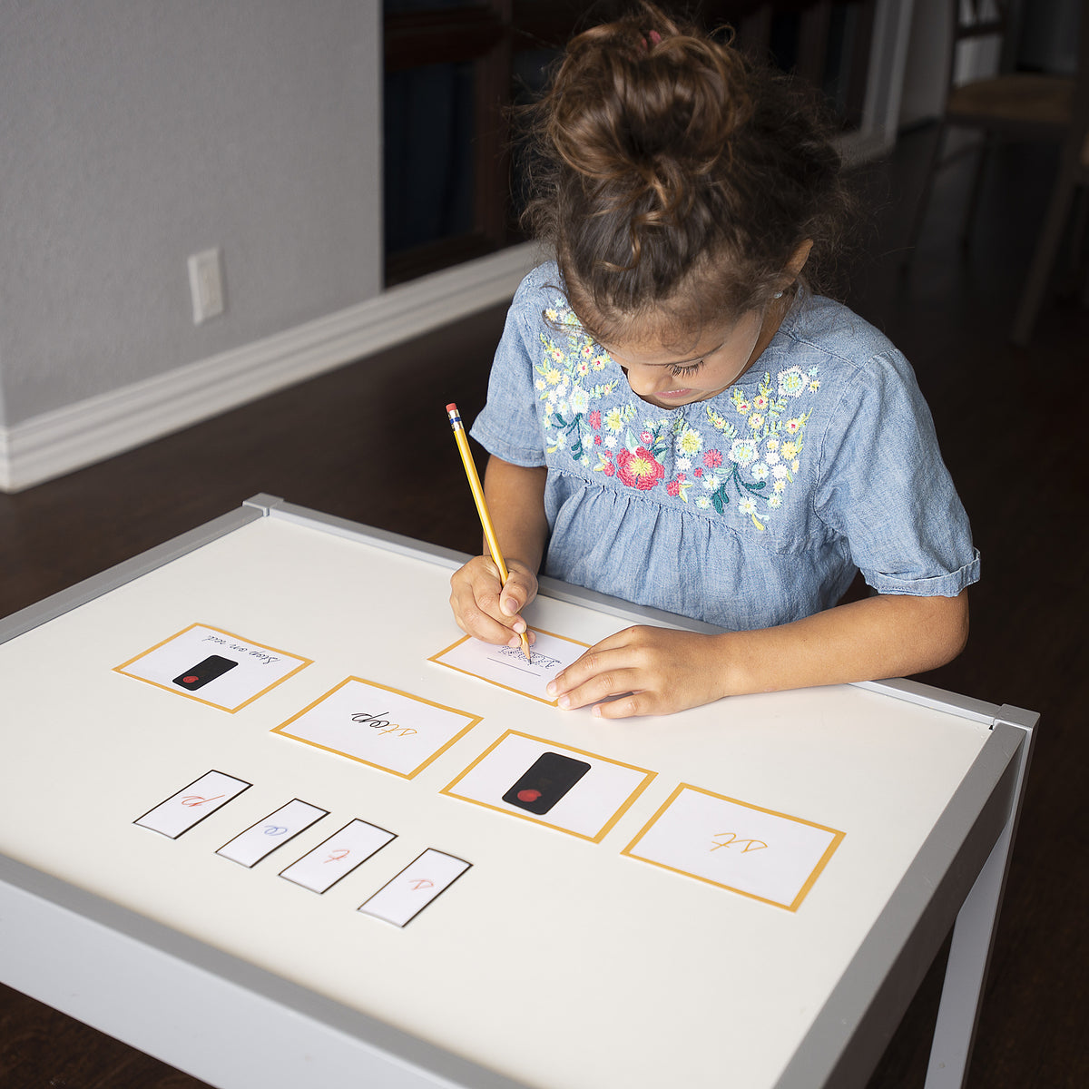 Montessori Primary Language Arts Curriculum (Ages 3-9)