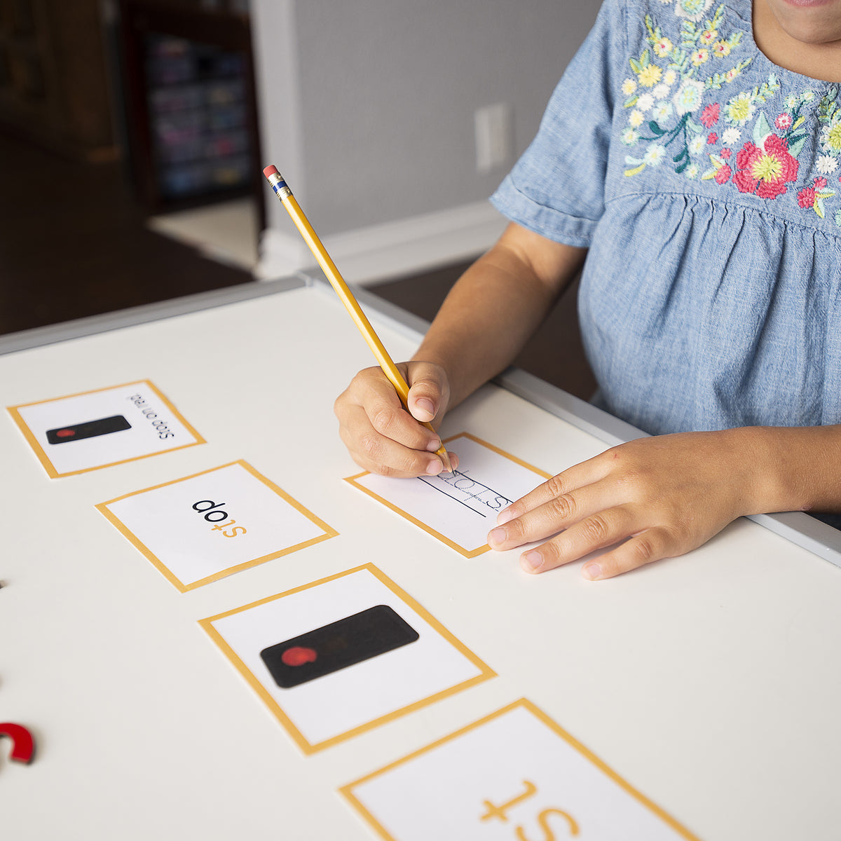 Montessori Primary Language Arts Curriculum (Ages 3-9)