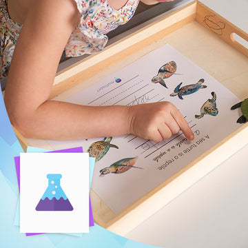 Montessori science curriculum - young child's hand pointing at a sea turtle worksheet