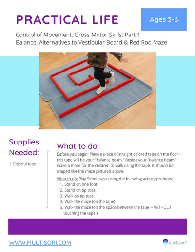 control of movement, Gross motor skills worksheet, alternatives to vestibular board and red rod maze