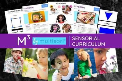  Sensorial Curriculum for Montessori homeschooling, including image cards showcasing children using their five senses, such as smelling flowers